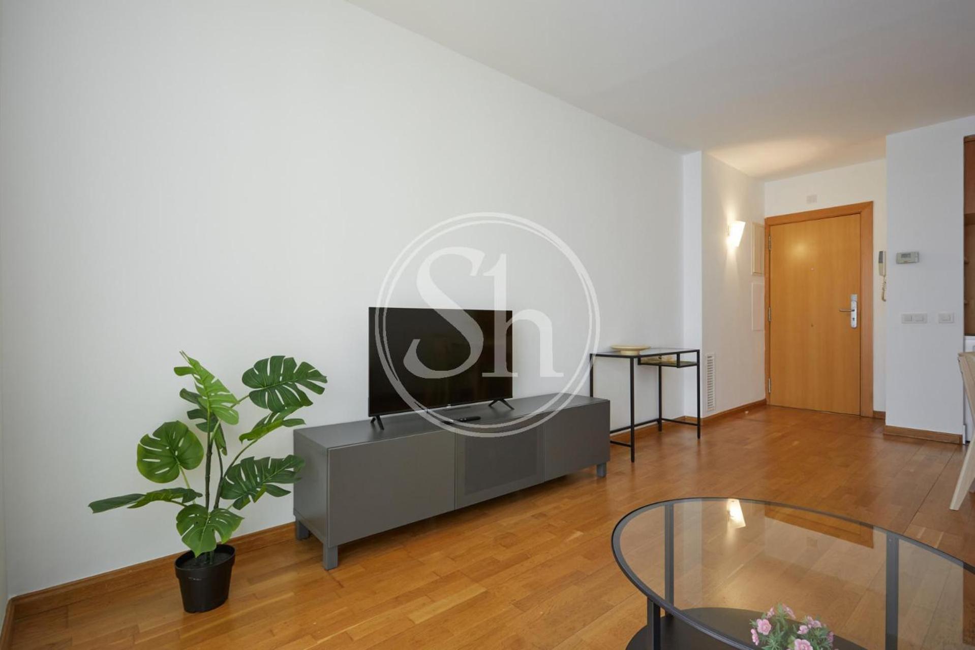 Apartament Bonito Cerca De Estacion De Sants *